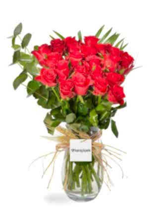 Red Roses