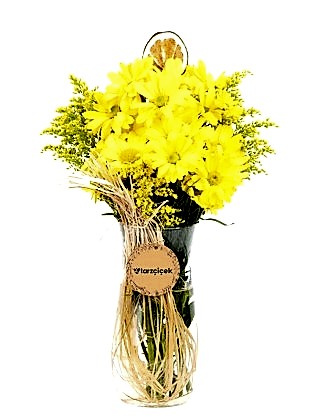 Jaune Marguerite 
