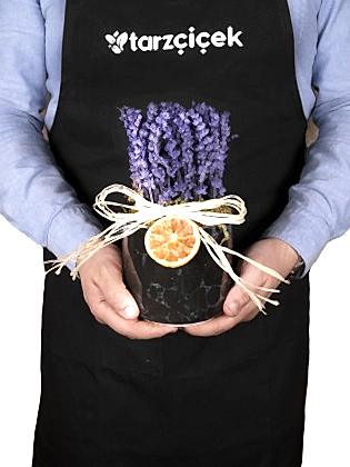 Lavender Single Dose