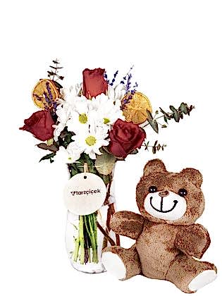 Stary Bear