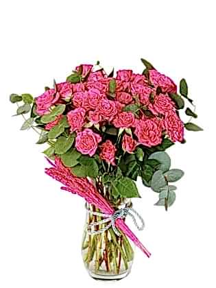 Pink Roses