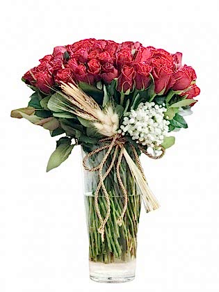 101 Iridescent Roses
