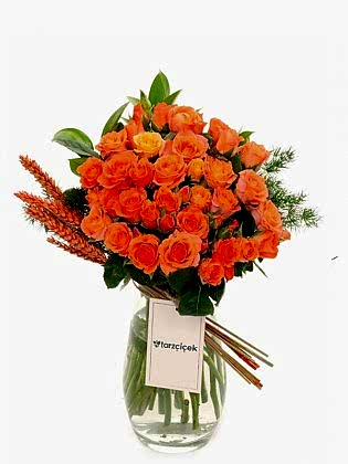 Orange Arbor Rose
