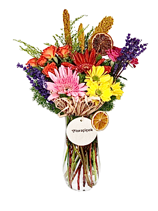 Colorful Love Gerbera
