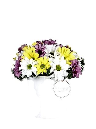 Colorful Love Papatyalar