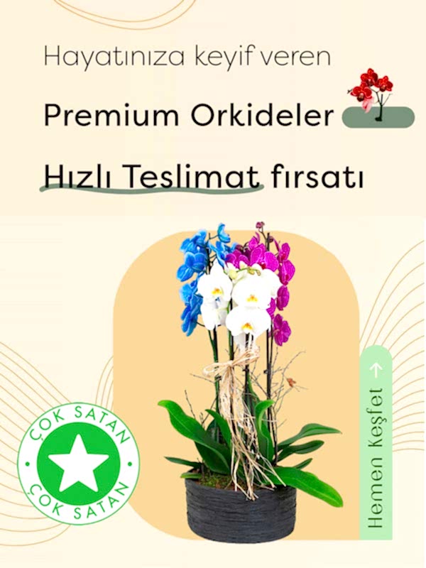Tarz Çiçek: Çiçek Siparişi, Çiçek Gönder, Taze Çiçek